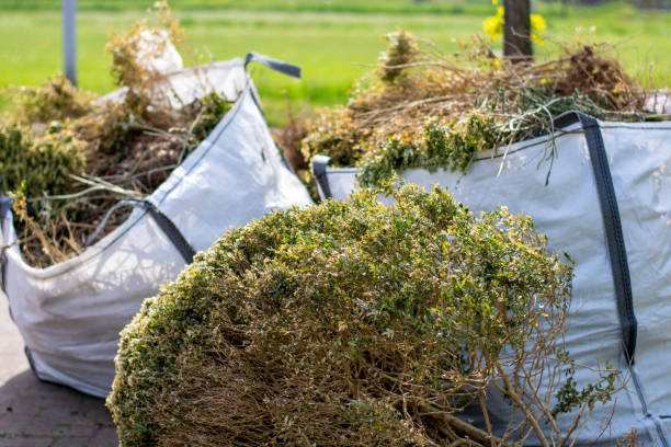 Best Dumpster Rental Services  in Shorewood, MN